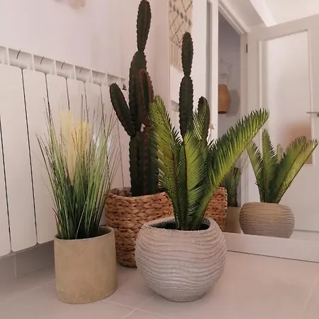 Apartment Casa Verano Eterno, Tot 16 Personen